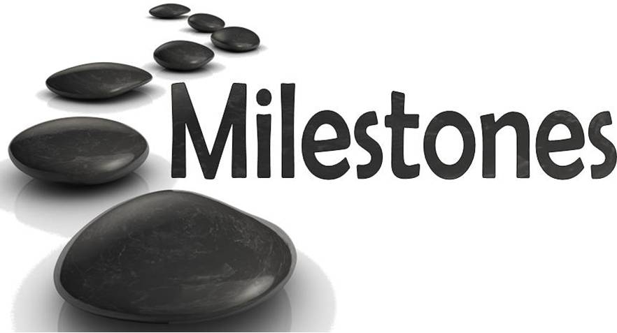 Other Term For Key Milestones