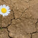Build Your Career Resilience